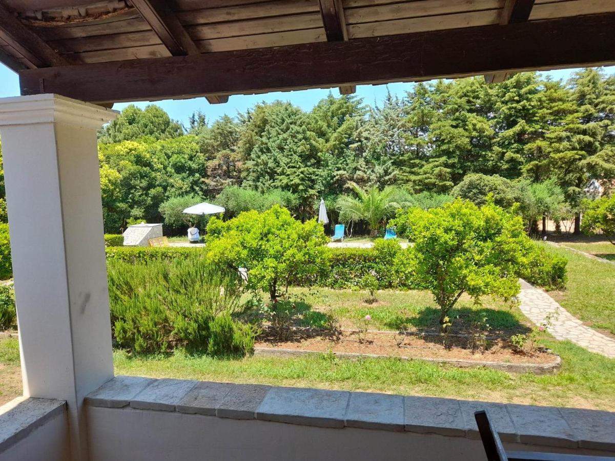 Lemontree Apartments 카시오피 외부 사진